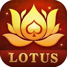 teen patti boss download download